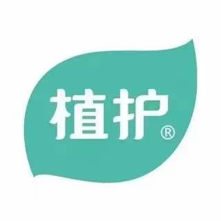 維亞造紙機(jī)械與來(lái)賓廣西植護(hù)云商7、8號(hào)機(jī)正式簽約